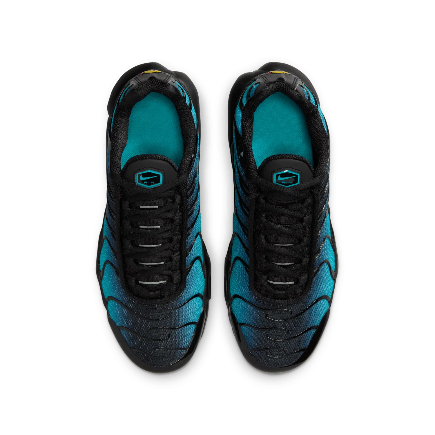 Nike Air Max Plus “Dusty Cactus” (Men’s)