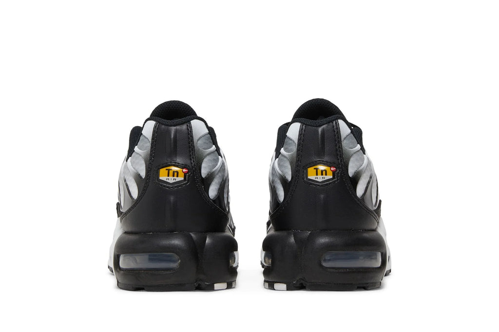 Nike Air Max Plus “Black & Metallic Silver” (Men's)