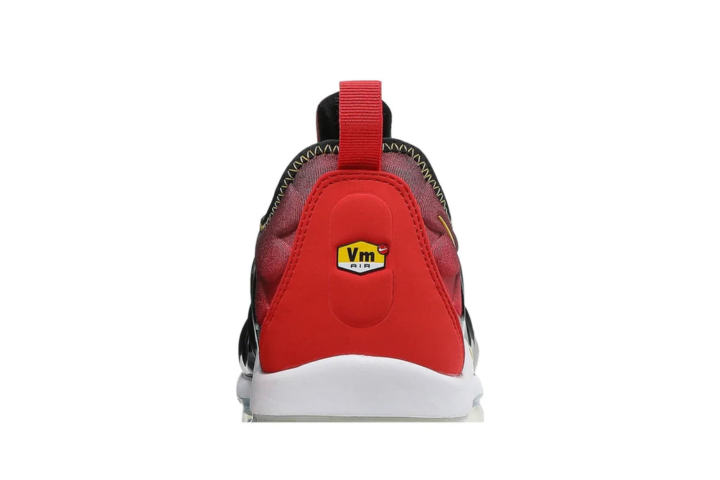 Nike Air VaporMax Plus “Live Together, Play Together” (Men's)