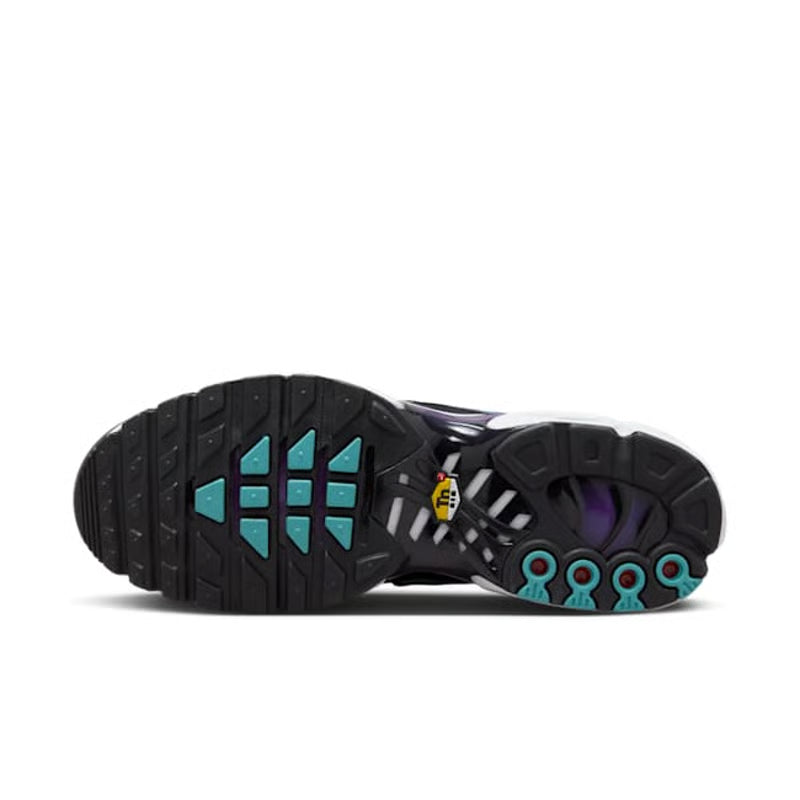Nike Air Max Plus “Reverse Grape” (Men’s)